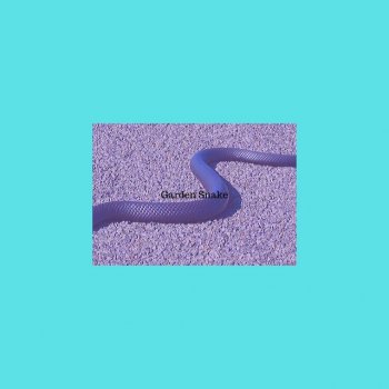 Исполнитель Xevi's Universe, альбом Garden Snake
