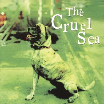 Исполнитель The Cruel Sea, альбом Three Legged Dog