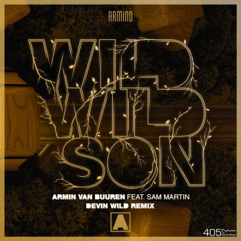 Armin van Buuren feat. Sam Martin Wild Wild Son (Devin Wild Extended Remix)