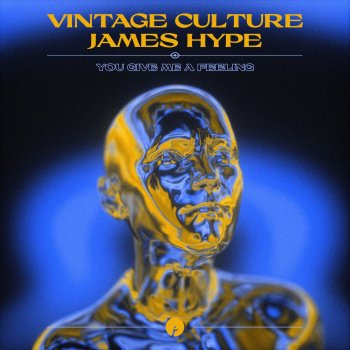 Vintage Culture feat. James Hype You Give Me A Feeling