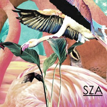 Исполнитель SZA, альбом SZA