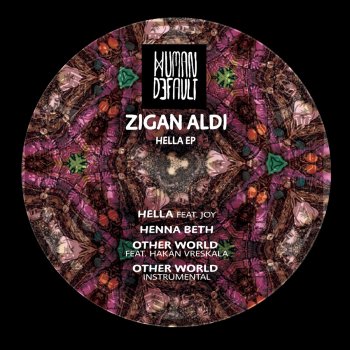 Zigan Aldi feat. Hakan Vreskala Other World Feat. Hakan Vreskala