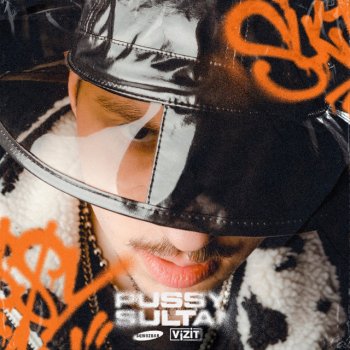 Исполнитель SQWOZ BAB, альбом PUSSY SULTAN - Single