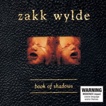 Zakk Wylde Too Numb To Cry