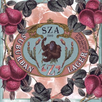 Исполнитель SZA, альбом Z