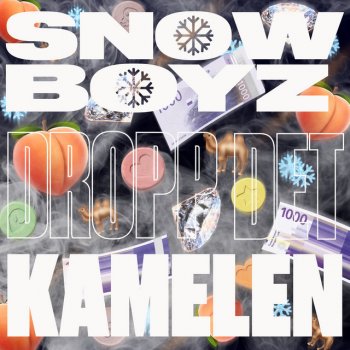 Snow Boyz feat. Kamelen Dropp det