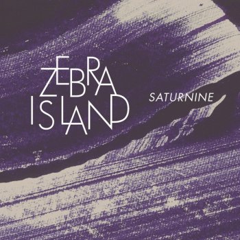 Zebra Island Silence