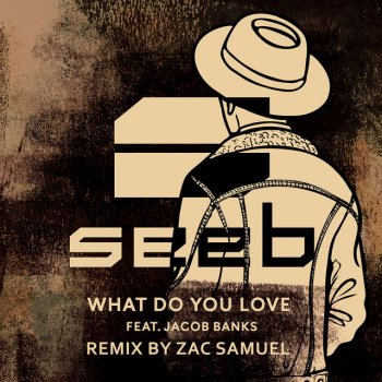 Seeb feat. Jacob Banks & Zac Samuel What Do You Love - Zac Samuel Remix