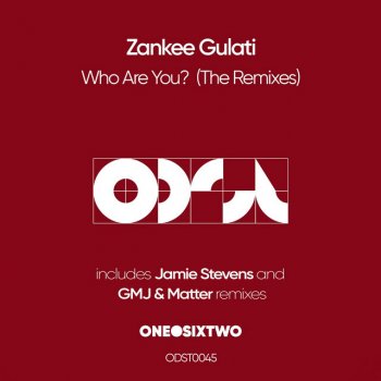 Zankee Gulati Who Are You
